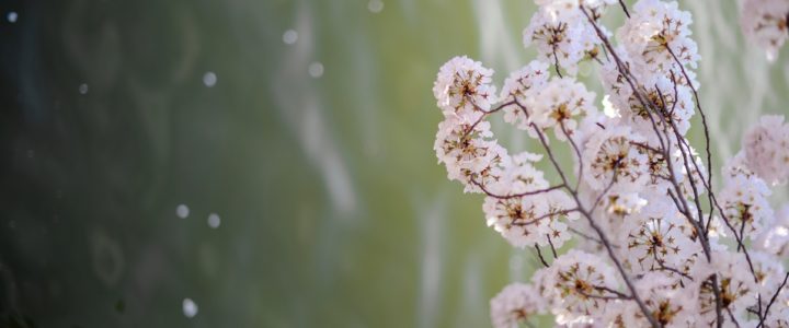 WHAT IS THE BEST TYPE OF MEDITATION? WHAT IS THE BEST TYPE OF MEDITATION?